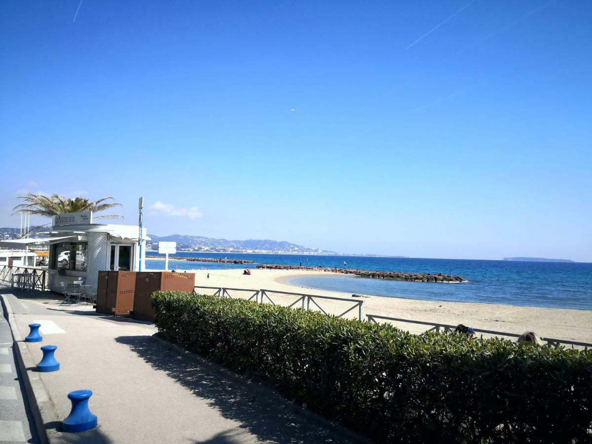 Studio Cannes Marina Mandelieu Eksteriør billede